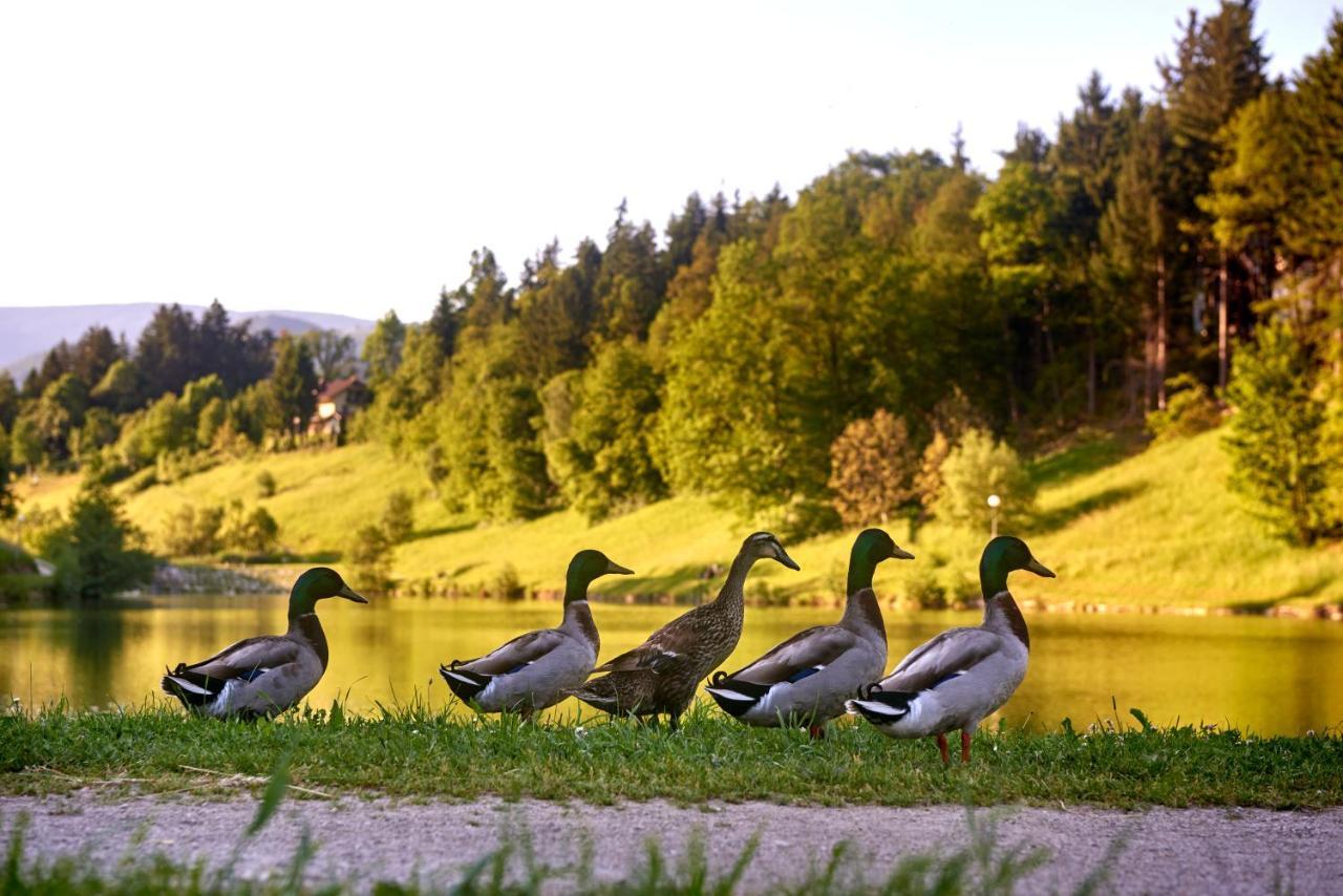 Terme Zreče – Hotel Atrij Buitenkant foto